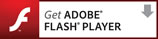 download flashPlayer